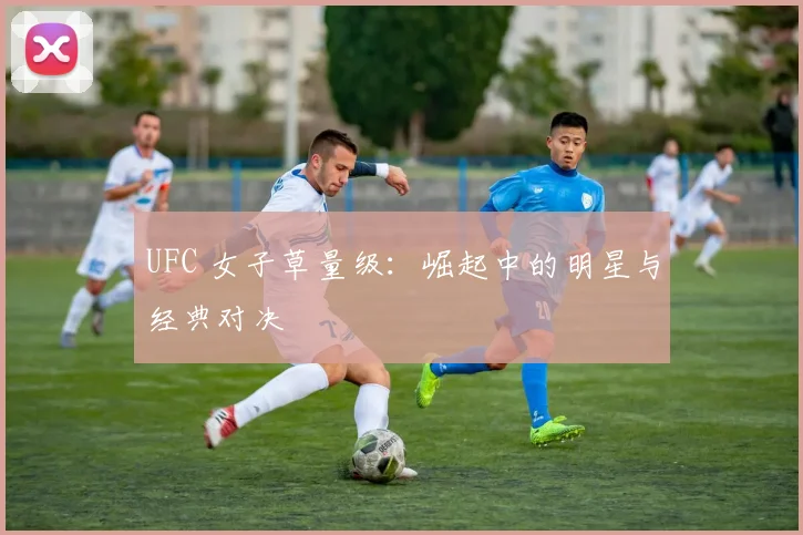 UFC 女子草量级:崛起中的明星与经典对决